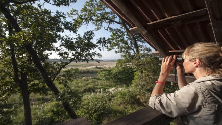 Bird Watching in Nepal